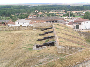 Cañones en el sistema defensivo