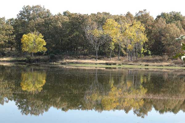 Laguna de San Marcos