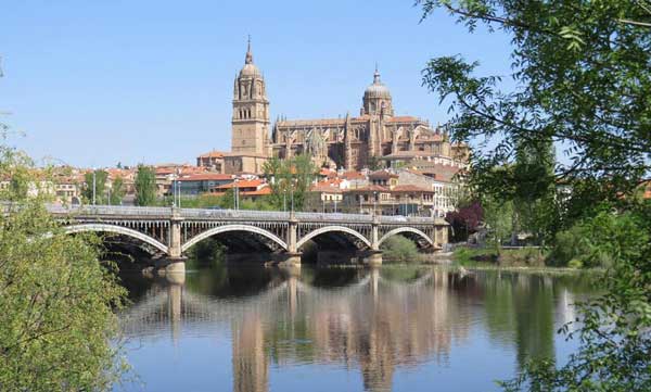 Puente Enrique Estevan