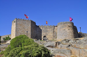 Castillo de Ledesma